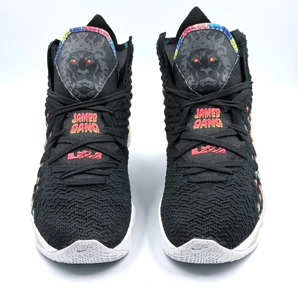 Nike lebron 17